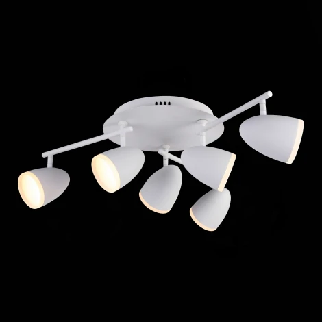 Потолочная люстра ST Luce Padivio SL387.501.06
