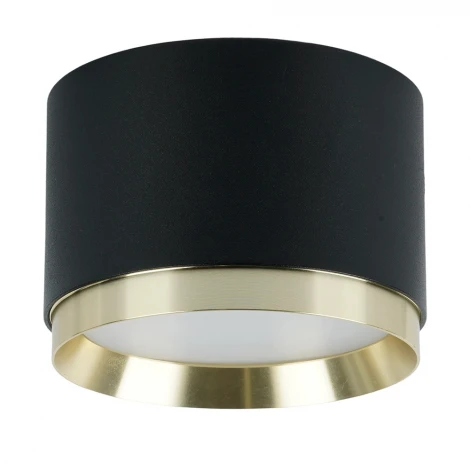 Потолочный светильник Feron HL459 52021