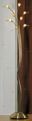 Торшер Lussole Roncobello LSA-0465-08