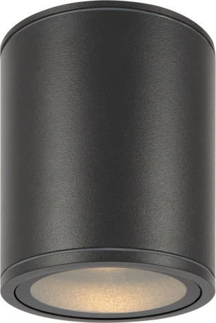 Потолочный светильник уличный Bar O306CL-L12GF (LED, 220V, круглые, IP65)