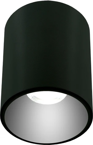 Накладной светильник Lightera Shamrock LE200CL-1B (220V, круглые)