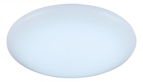 Настенно-потолочный светильник ST Luce Liscio SL875.332.01