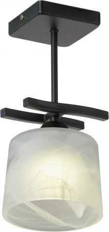 Потолочная люстра на штанге Мелодия Света 000061917