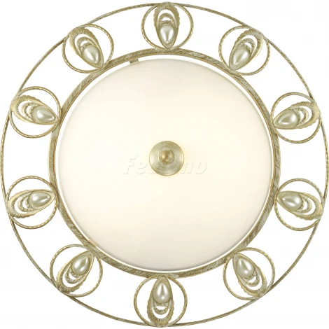 Настенно-потолочный светильник Odeon Light Kanti 3483/2C