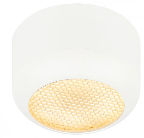 Точечный светильник ЭРА OL56 WH OL56 WH