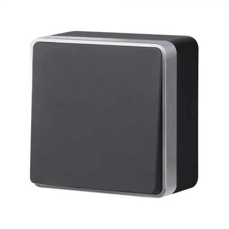 Выключатель одноклавишный проходной Gallant Werkel W5012034 (черный с серебром)