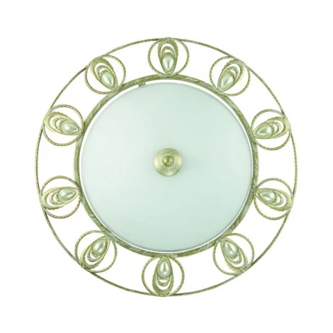 Настенно-потолочный светильник Odeon Light Kanti 3483/2C
