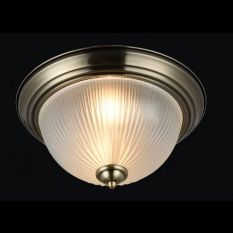 Потолочный светильник Maytoni Planum CL913-02-R