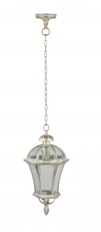 Уличный светильник подвесной Oasis Light ROMA L 95205L Gw (220V, на цепи, IP44)