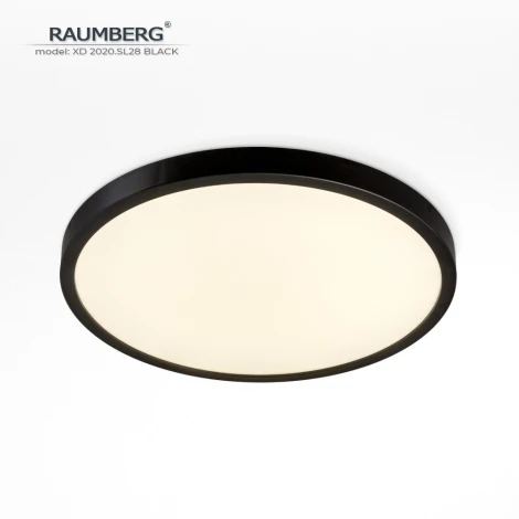 Потолочный светильник светодиодный Raumberg XD2020.SL28 Black