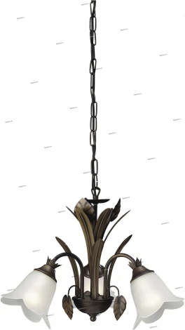 Massive 73979 73979-03-43