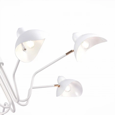 Потолочная люстра на штанге ST Luce Minne SL1801.513.06 (220V)