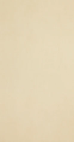 Рулонные обои BN International BN 218511