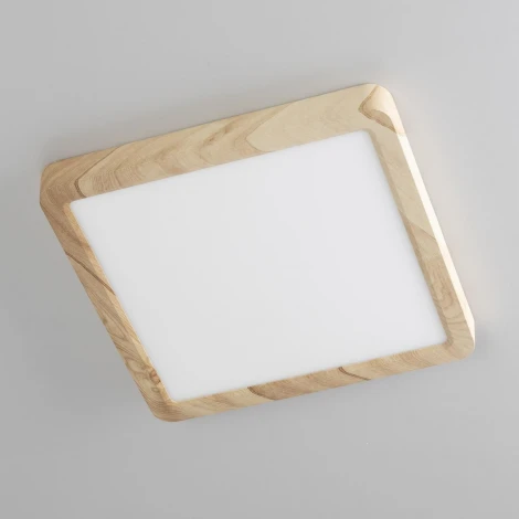 Настенно-потолочный светильник Citilux Бейсик CL738K182V (регулировка яркости, LED, 220V, IP40)