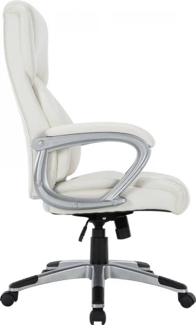 Компьютерное кресло CHAIRMAN CH665 (Пластик,Экокожа/Светло-бежевый)