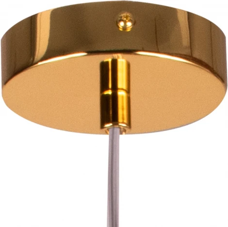 Подвесной светильник Lightstar Extra L1P721132 (220V, на проводе, листья, ветки)