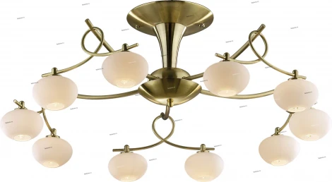Потолочная люстра Odeon Light Rondo 1812/10C
