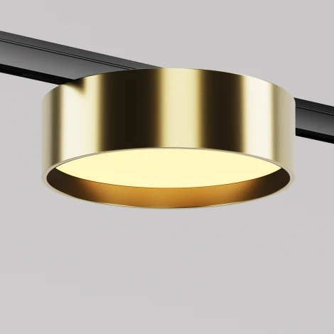 Трековый светильник магнитный 12W 24V Maytoni Zon TR189-1-12W2.7K-BBS (LED, круглые)