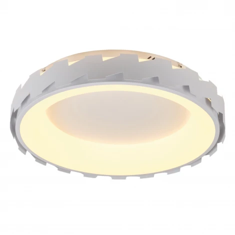 Потолочный светодиодный светильник круглый MyFar Leda MR9220-CL (регулировка яркости, пульт управления, круглые)