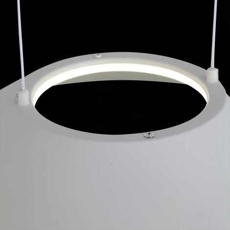 Подвесной светильник ST Luce Pitto SL427.513.01