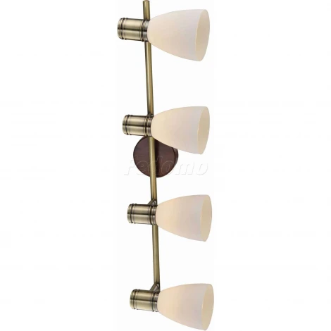 Спот Toplight Sharyl TL3720Y-04BB
