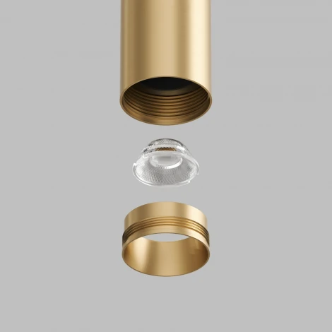 Трековый светильник для магнитного шинопровода Denkirs Shine Spot DK5742-SB 48V 8W*2 сатинированная латунь (LED, круглые)