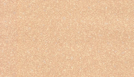 Рулонные обои Casual 30520