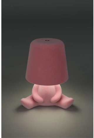 Настольная лампа светодиодная для детской с выключателем Aployt Olka APL.677.14.01 (для девочки)