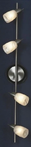 Настенно-потолочный светильник Lussole Cevedale LSQ-6909-04