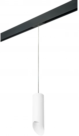 Трековый светильник однофазный 220V Lightstar Rullo PRORP48636 (круглые)