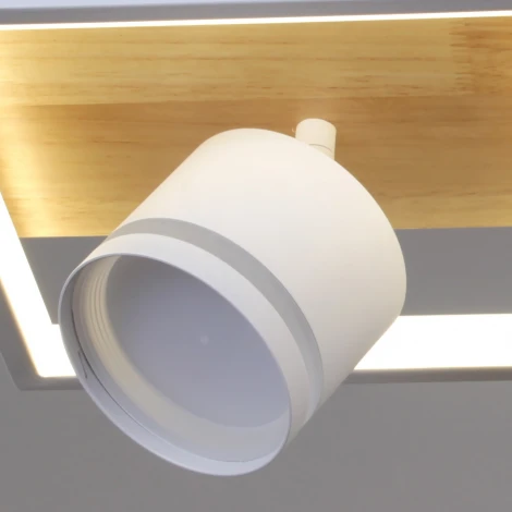 Потолочная люстра с пультом с регулировкой цветовой температуры, яркости и ночным режимом Reluce 19560-0.3-2+2 WH+WOOD