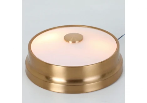 Потолочный светильник круглый Favourite Pannikin 2375-2C (220V, круглые)