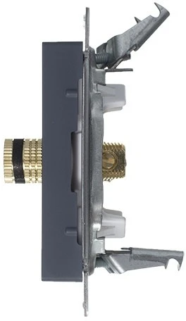 Акустическая розетка встраиваемая двойная (грифель) Systeme Electric AtlasDesign ATN000787