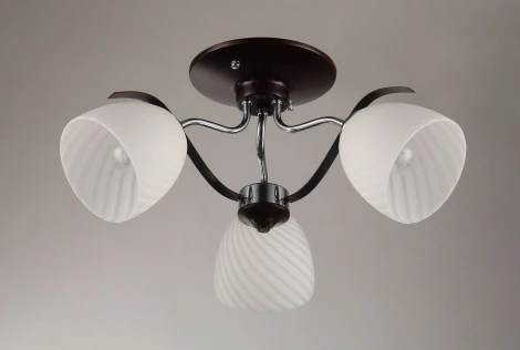 Потолочная люстра Toscom Flo TC-991-003