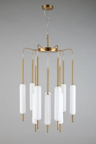 Подвесная люстра Aployt Carla APL.010.03.80 (LED, 220V, на тросе)