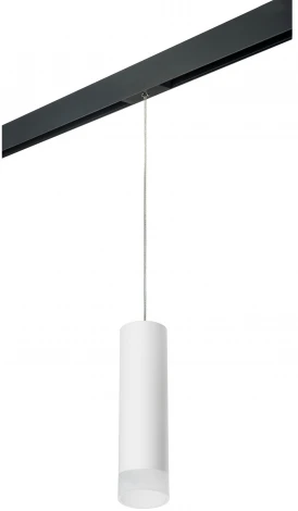 Трековый светильник однофазный 220V Lightstar Rullo PRORP649681 (круглые)