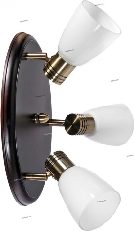 Спот Дубравия Анри 150-41-13