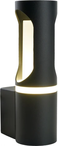 Настенный уличный светильник Feron Сидней 51233 (220V, IP54)