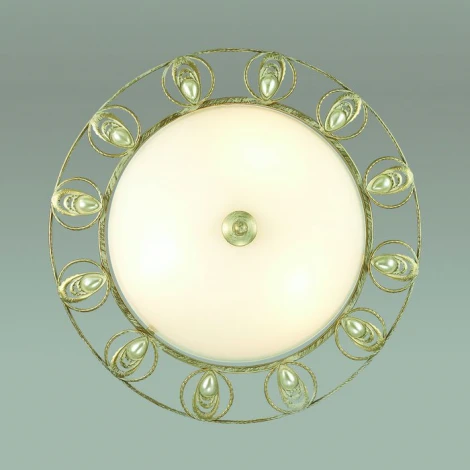 Настенно-потолочный светильник Odeon Light Kanti 3483/3C