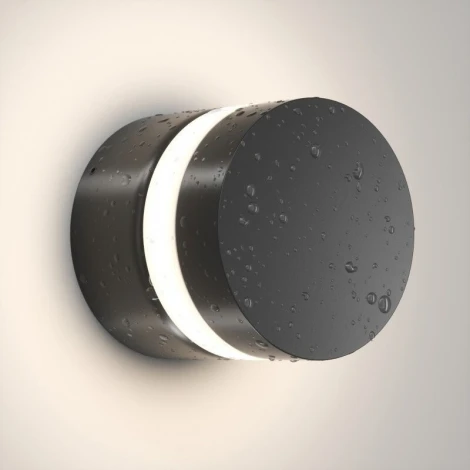 Настенный светодиодный уличный светильник IP65 Denkirs Vega DK9810-BK