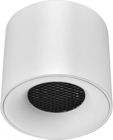 Светильник потолочный ST Luce ST761.543.10 белый LED 1*10W 4000K (220V, круглые)