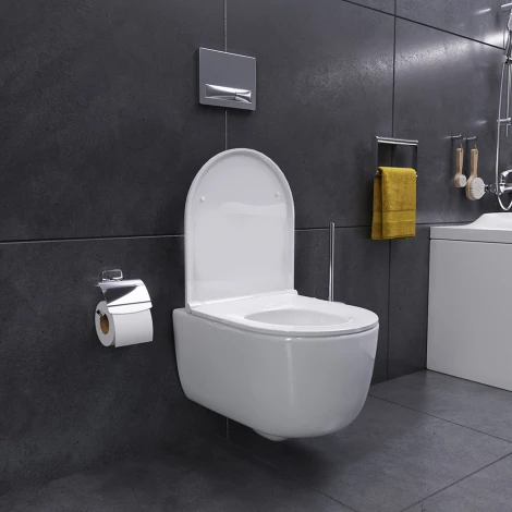 Унитаз подвесной Damixa Sirius DX86C1700SC с микролифтом