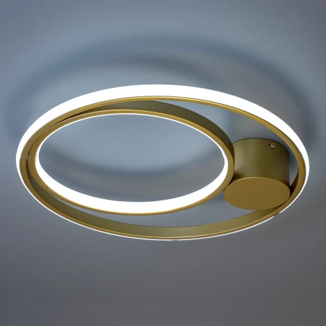 Потолочная люстра светодиодная с ДУ Ritter Snello 51625 9