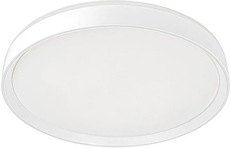 Потолочный светильник RGB круглый Citilux Boss CL751450G (LED, 220V, круглые)