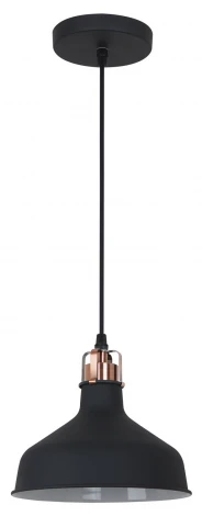 Подвесной светильник Toscom Simon TC-506-001