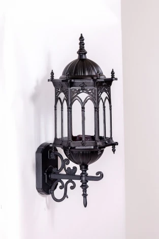 Настенный фонарь уличный Oasis Light DELI L 89901L/08 Bl