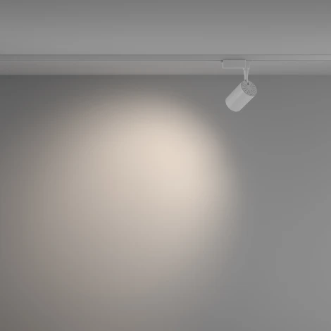 Трековый светильник Vuoro Unity 4000K 10Вт 60° LED (однофазный) Maytoni Technical TR003-1-10W4K-W-W (220V, круглые)