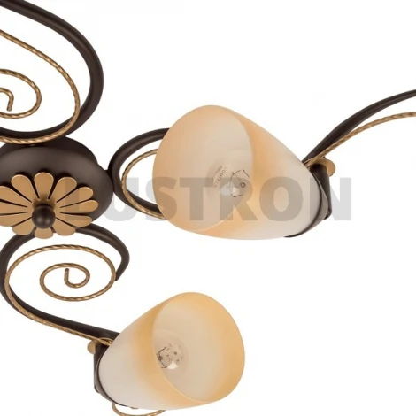 Потолочная люстра MW-Light Аида 323014404