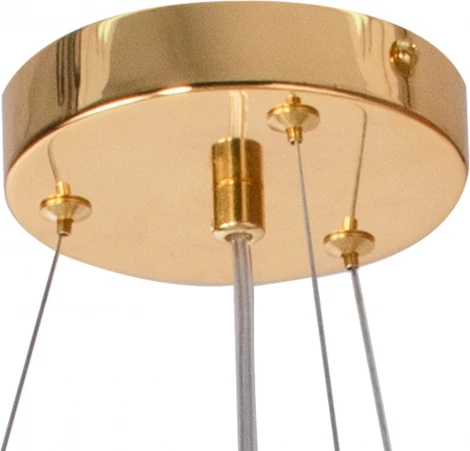 Подвесная люстра Lightstar Extra 721382 (220V, на тросе, листья, ветки)