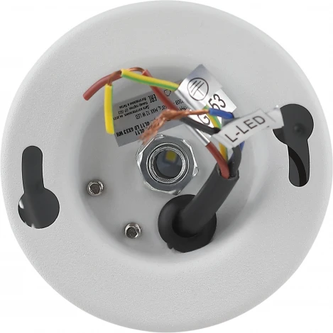 Точечный светильник ЭРА OL10 LD GX53 WH (220V)